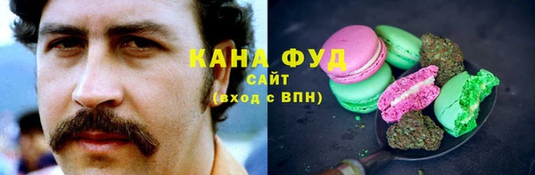 первитин Горняк