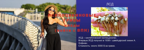 прущие грибы Горнозаводск