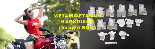 прущие грибы Горнозаводск