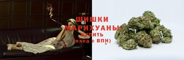 прущие грибы Горнозаводск