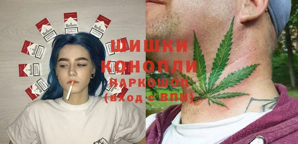 молекула духа Гусиноозёрск