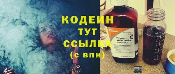 прущие грибы Горнозаводск